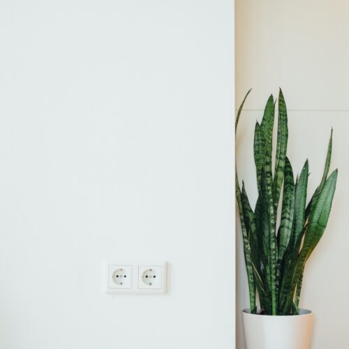 paul-hanaoka-0Qar87UXlGA-unsplash paul-hanaoka-0Qar87UXlGA-unsplash