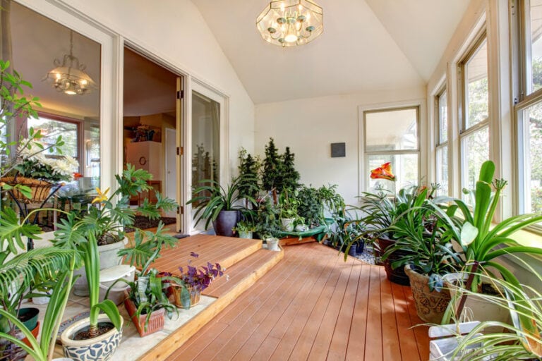 Bright home greenhouse with high vaulted ceiling and hardwood floor. Room full of plants and blooming flowers