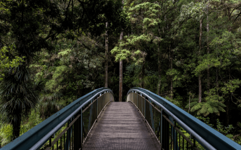 Diseño sin título Diseño sin título