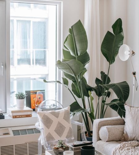 pexels-charlotte-may-5825586-min